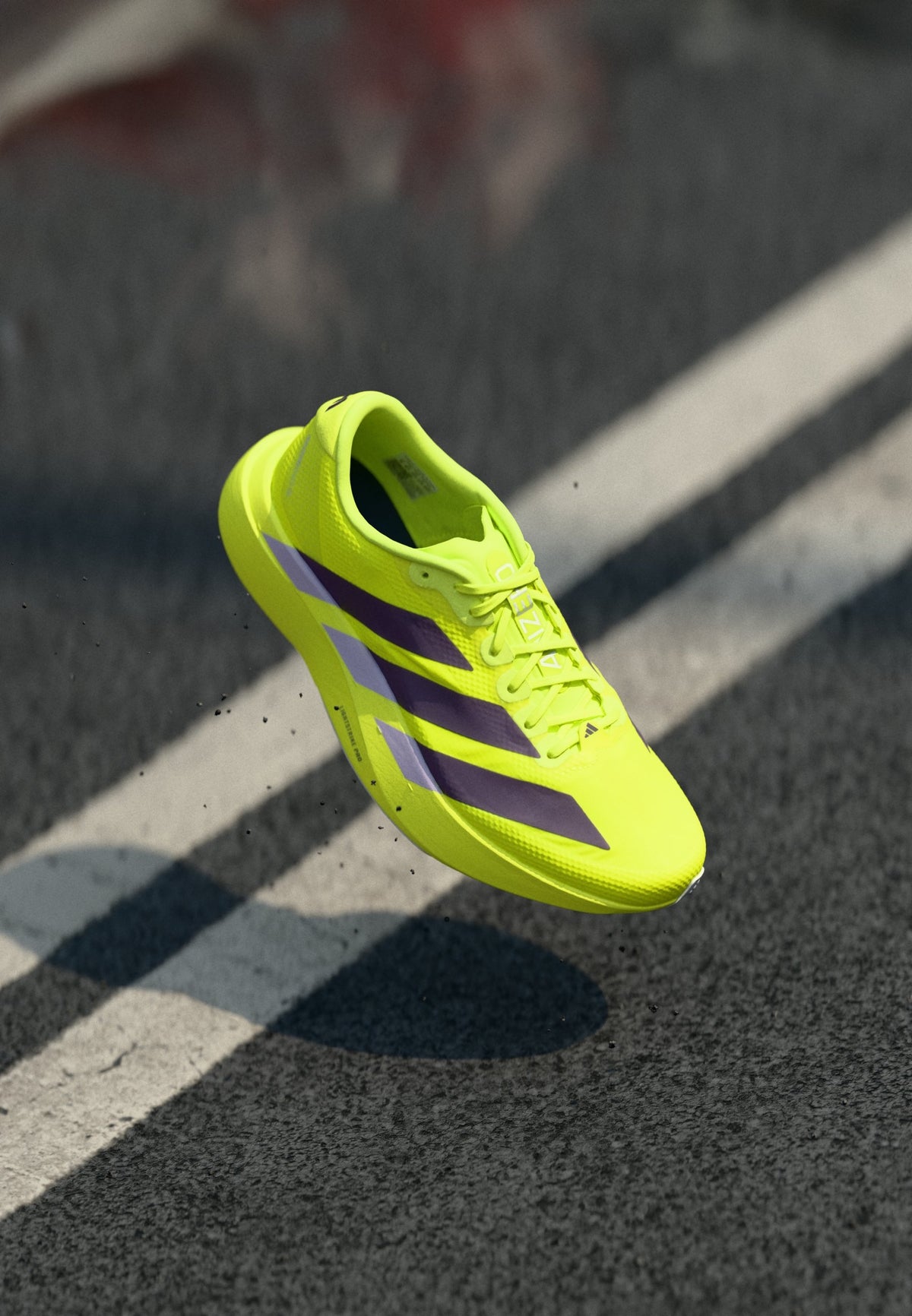 adidas Adizero Evo SL Woven M - Solar Yellow / Aurora Plum / Powder Plum