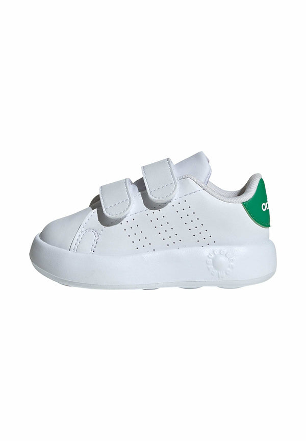 adidas Advantage - Cloud White Cloud White Green