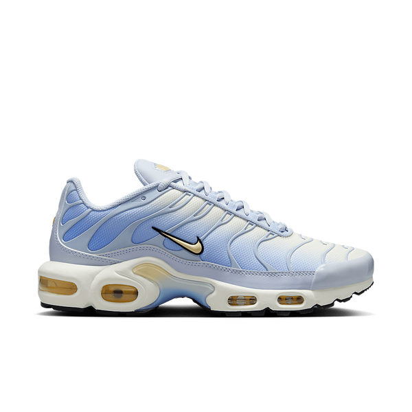 Nike Air Max Plus Daybreak