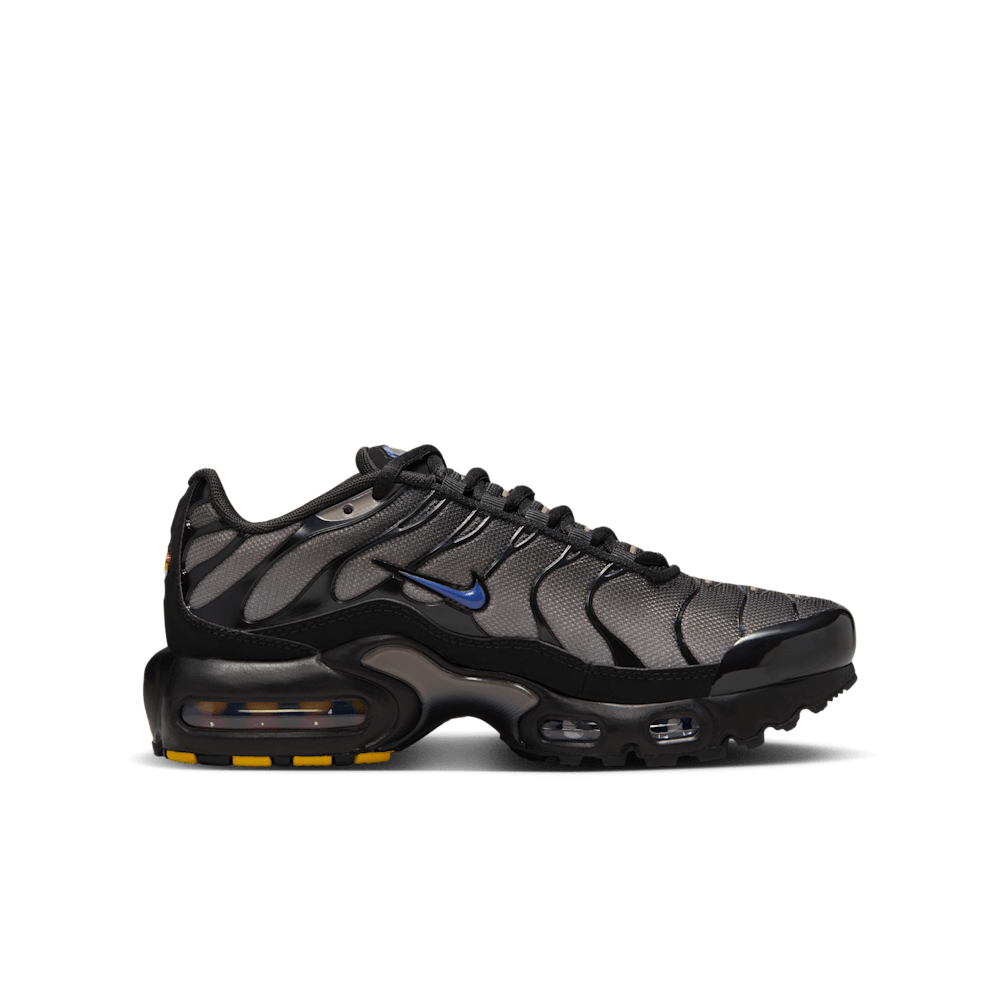 Nike Air Max Plus - Black Cave Stone