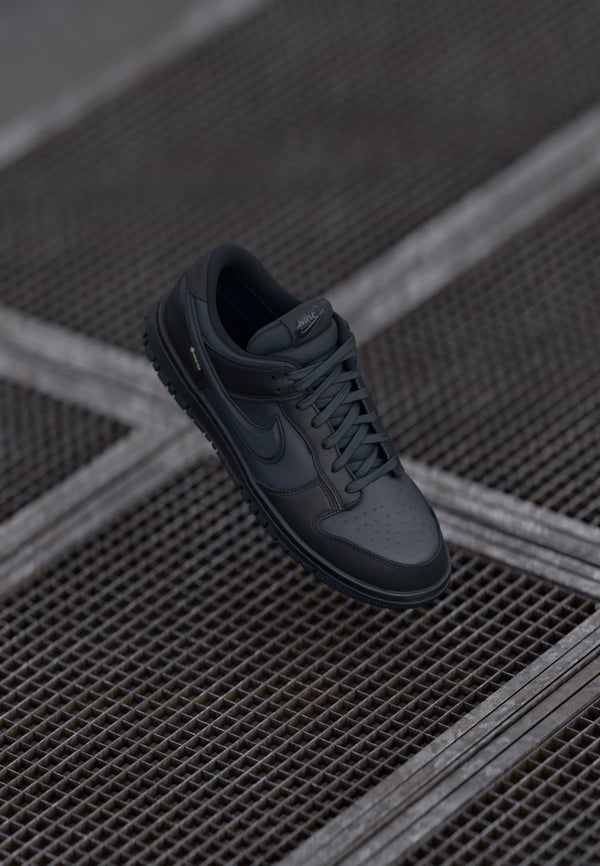 Nike Dunk Low Gtx - Black / Off Noir / Anthracite