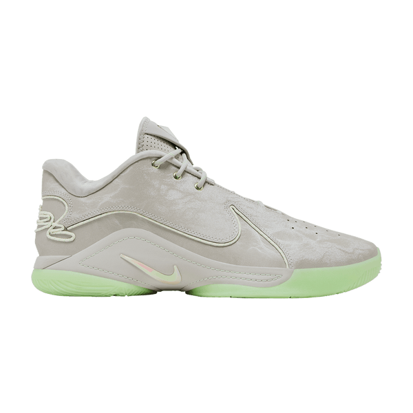 Nike Lebron 22 Dunkman